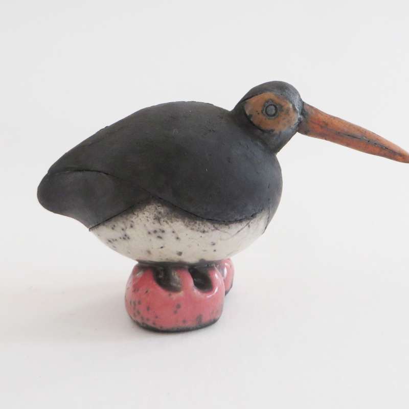 Small Oyster Catcher